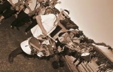 Bandas